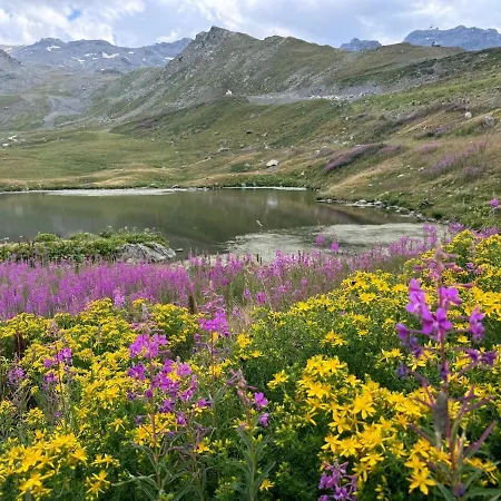 Apartment 4 Flocons Or, 42 M2, Vue Sur Les Glaciers, Sud *
